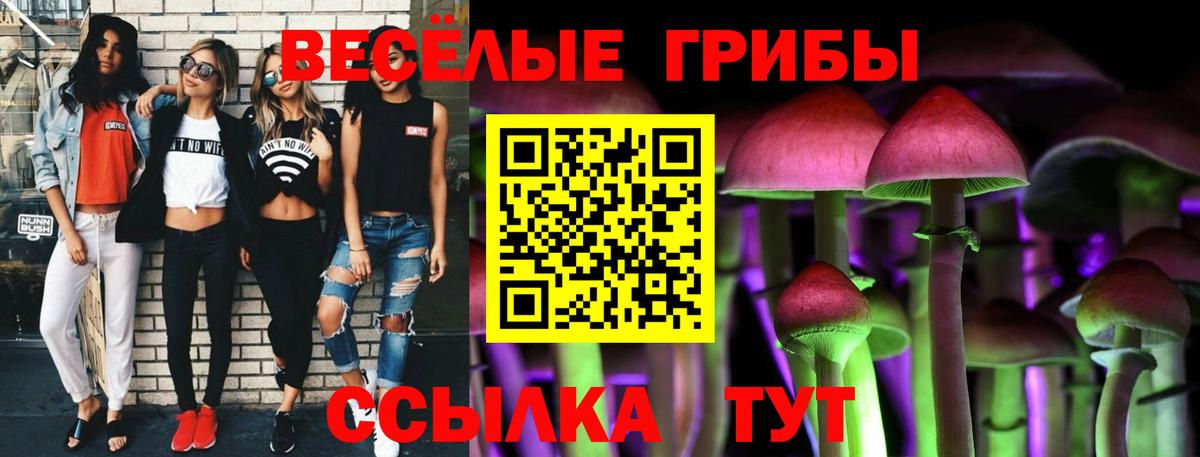 Галлюциногенные грибы Psilocybine cubensis Южно-Сахалинск