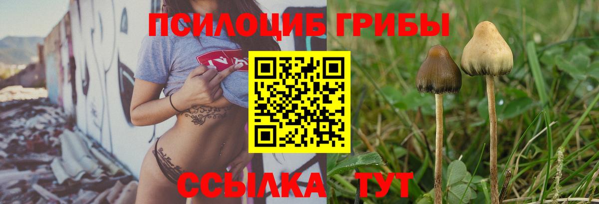 Южно-Сахалинск  Псилоцибиновые грибы Magic Shrooms  Вход с VPN 